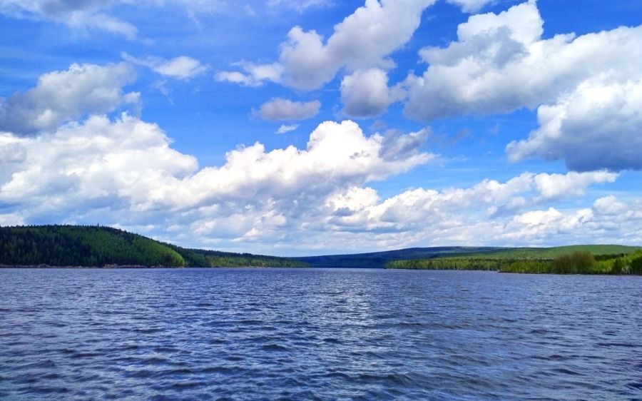 Экополитика – в действии